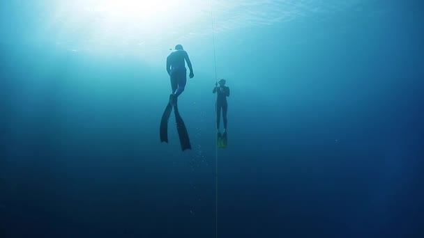 Buceadores libres en el mar — Vídeos de Stock