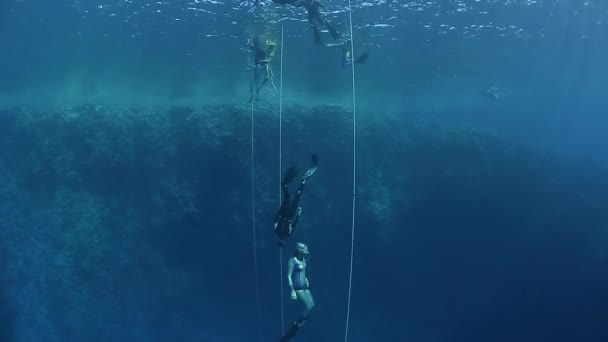 Mergulhadores livres no mar — Vídeo de Stock