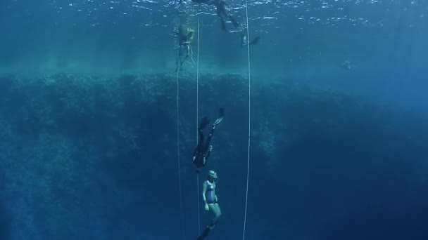 Buceadores libres en el mar — Vídeos de Stock