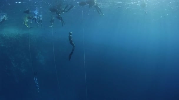 自由潜水者在海上 — 图库视频影像