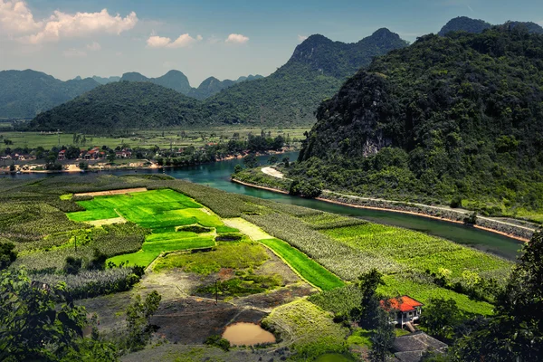 Parque Nacional de Phong Nha, Vietnã — Fotografia de Stock