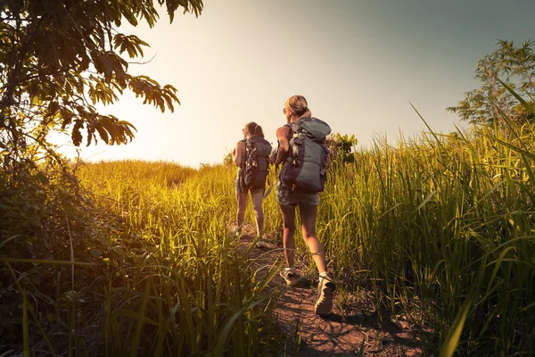 Wanderer mit Rucksack — Stockfoto