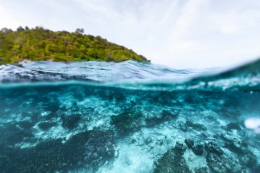 tropikal mavi deniz