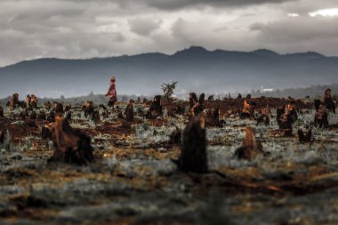 Kütükleri Vadisi, Madagaskar üzerinde