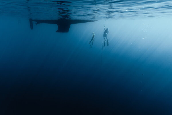 Freedivers in the water