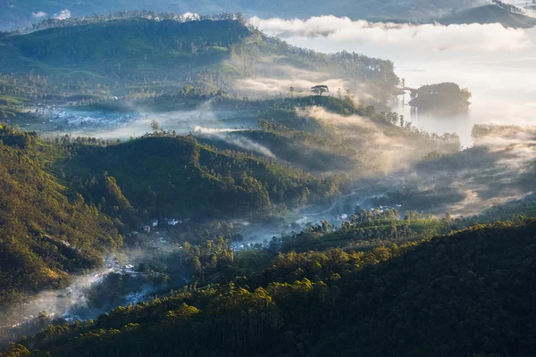 Долина в тумані — стокове фото