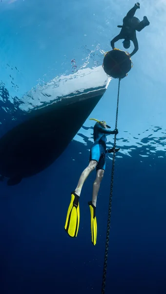 Freedivers no mar — Fotografia de Stock