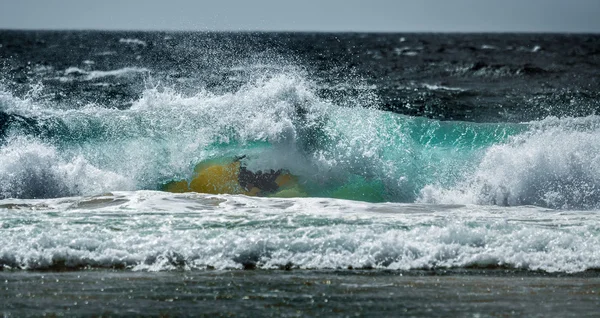 Surfer auf der Welle — Stockfoto