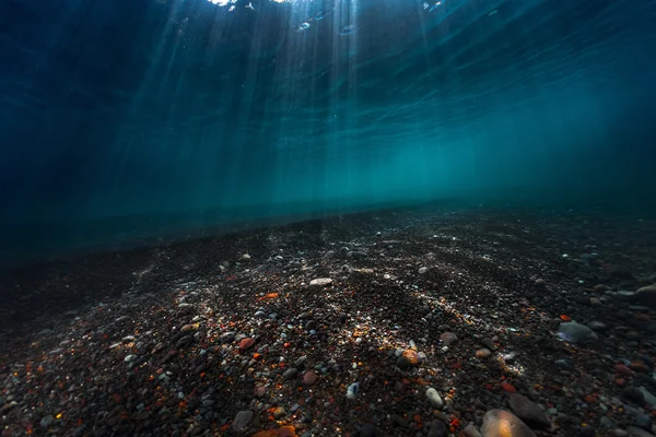 海の水面下で — ストック写真