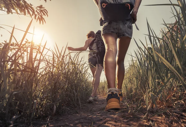 Caminhantes com mochila — Fotografia de Stock