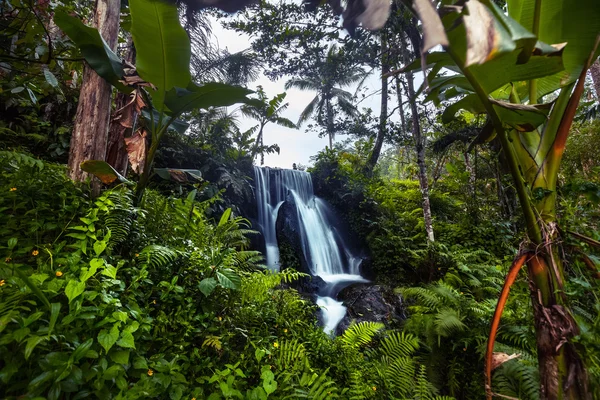 Cachoeira na floresta — Fotografia de Stock