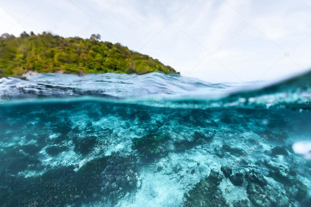 Tropical blue sea