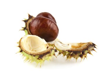 Olgun kahverengi kestane