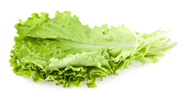 Friss zöld levelek saláta — Stock Fotó