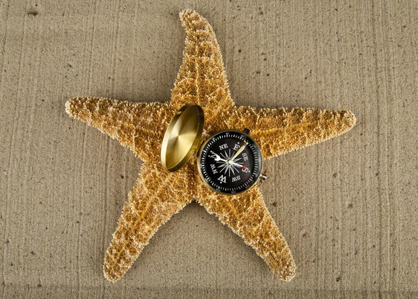 Hvězdice a cestovní kompas — Stock fotografie