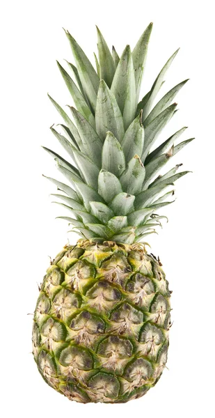 Rijpe zoete ananas — Stockfoto