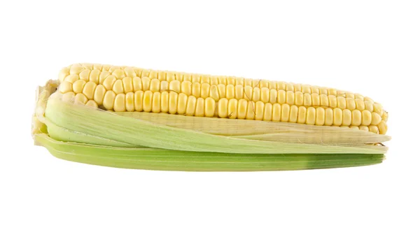 Fresh raw corn — Stock Photo, Image