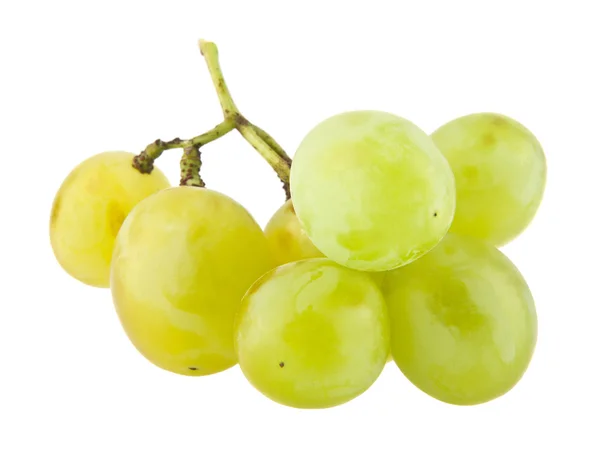 Зеленый спелый виноград — стоковое фото