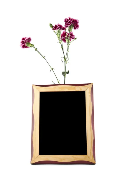 Flowers of carnation and photo frame — Stock Photo, Image