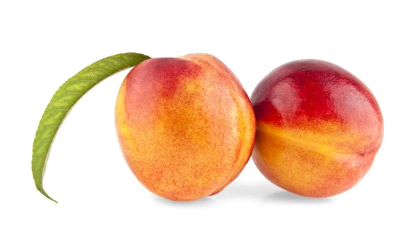 Söt mogna persikor — Stockfoto