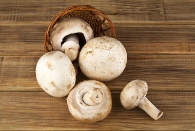 taze mantar yığını