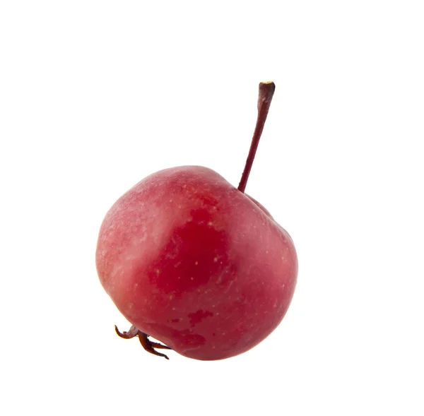 Roter reifer Apfel — Stockfoto