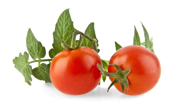 Två mogna röda tomater — Stockfoto