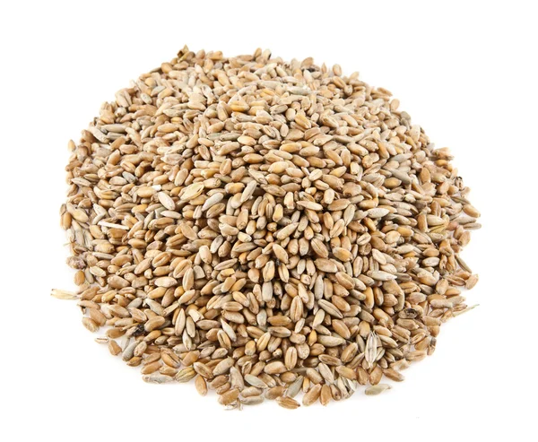 Heap of golden wheat grains — Stock Photo, Image