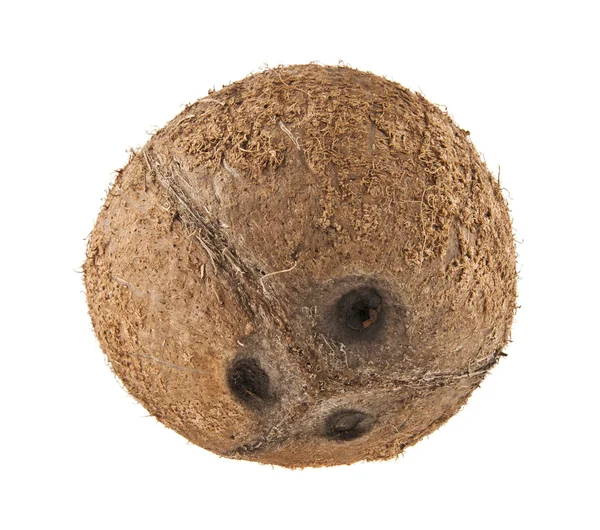 Zralé hnědé kokos — Stock fotografie