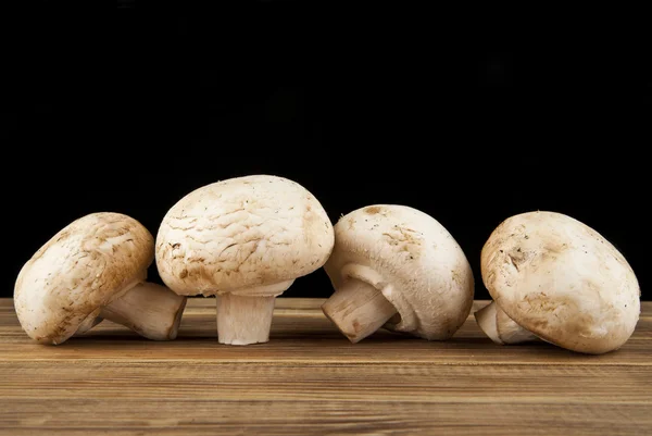 Stos świeżych grzybów dojrzałe — Zdjęcie stockowe