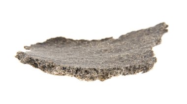 ezilmiş ayçiçeği tohumu