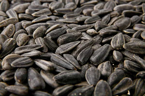 Organic sunflower seeds — Stock Photo, Image