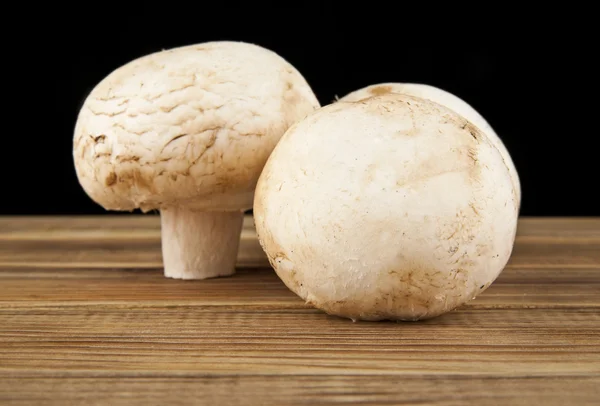 Mucchio dei funghi maturi freschi — Foto Stock
