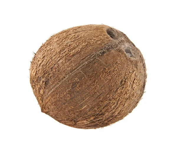 Зрелый коричневый кокос — стоковое фото