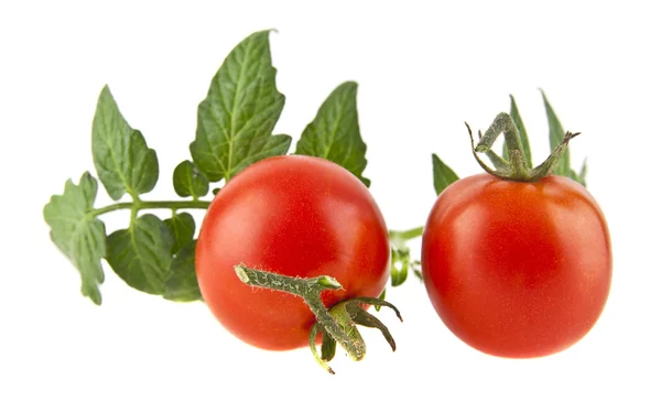 Pomodori rossi maturi — Foto Stock