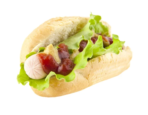 Smakelijke traditionele hotdog — Stockfoto