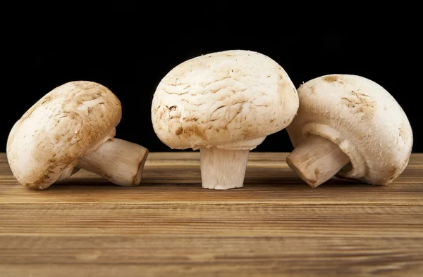 Mucchio dei funghi maturi freschi — Foto Stock