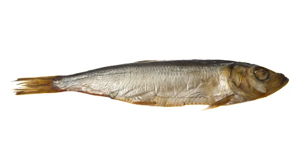 Smoked sprat fish — Stock Photo, Image