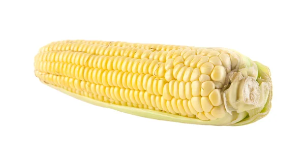 新鲜原料玉米 — 图库照片