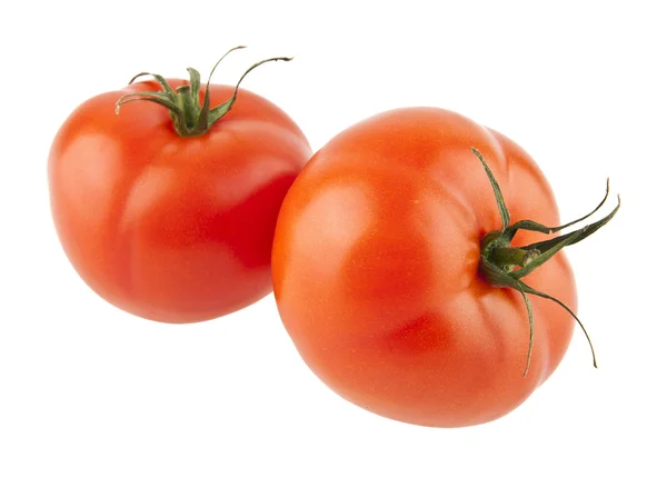 Tomates isolées sur fond blanc — Photo