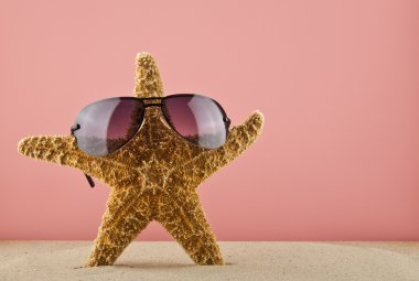 Deniz yıldızı kum üzerinde 