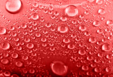 kırmızı arka plan portre üzerinde su damlaları