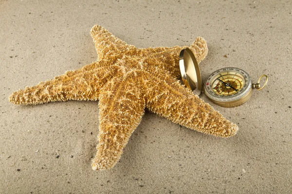 Compass and starfish — Stock Photo, Image