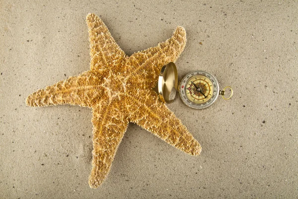 Compass and starfish — Stock Photo, Image