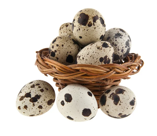 Quail eggs isolated on a white background — Stock Photo, Image