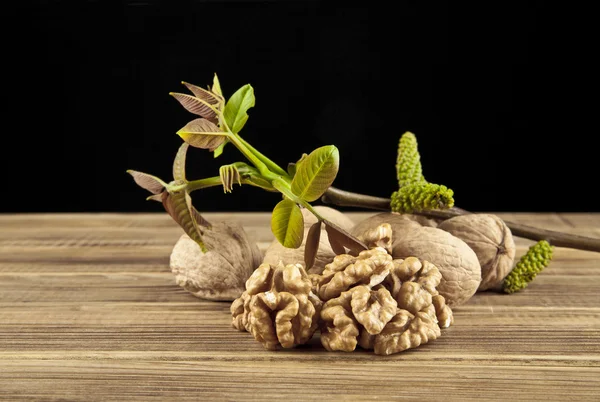 Nueces con hojas — Foto de Stock