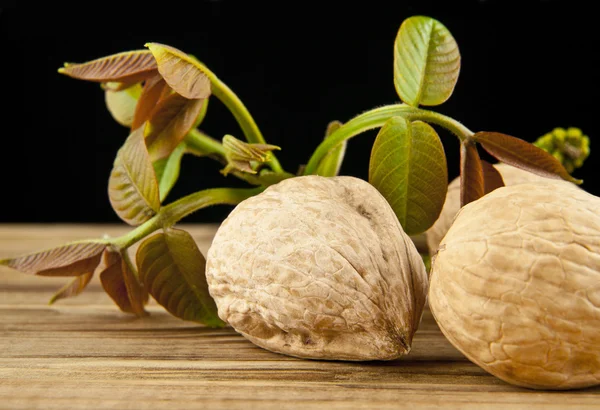 Nueces con hojas — Foto de Stock