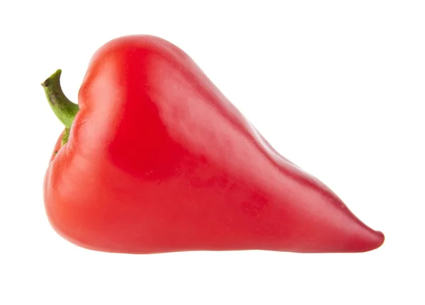 A pepper is isolated on a white background — Stock Photo, Image