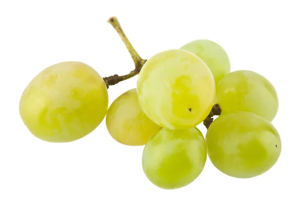 Racimo jugoso maduro de uvas — Foto de Stock