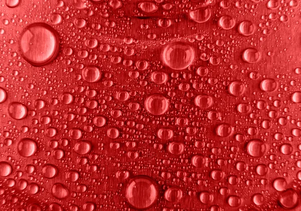 Vattendroppar på en röd bakgrund närbild — Stockfoto